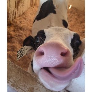 Meet your Posher, Caroline